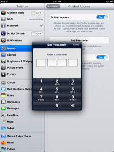 iPad Guided Access Settings On