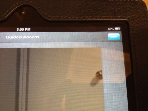 iPad Guided Access Start Button