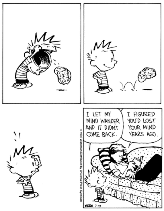 Calvin & Hobbes