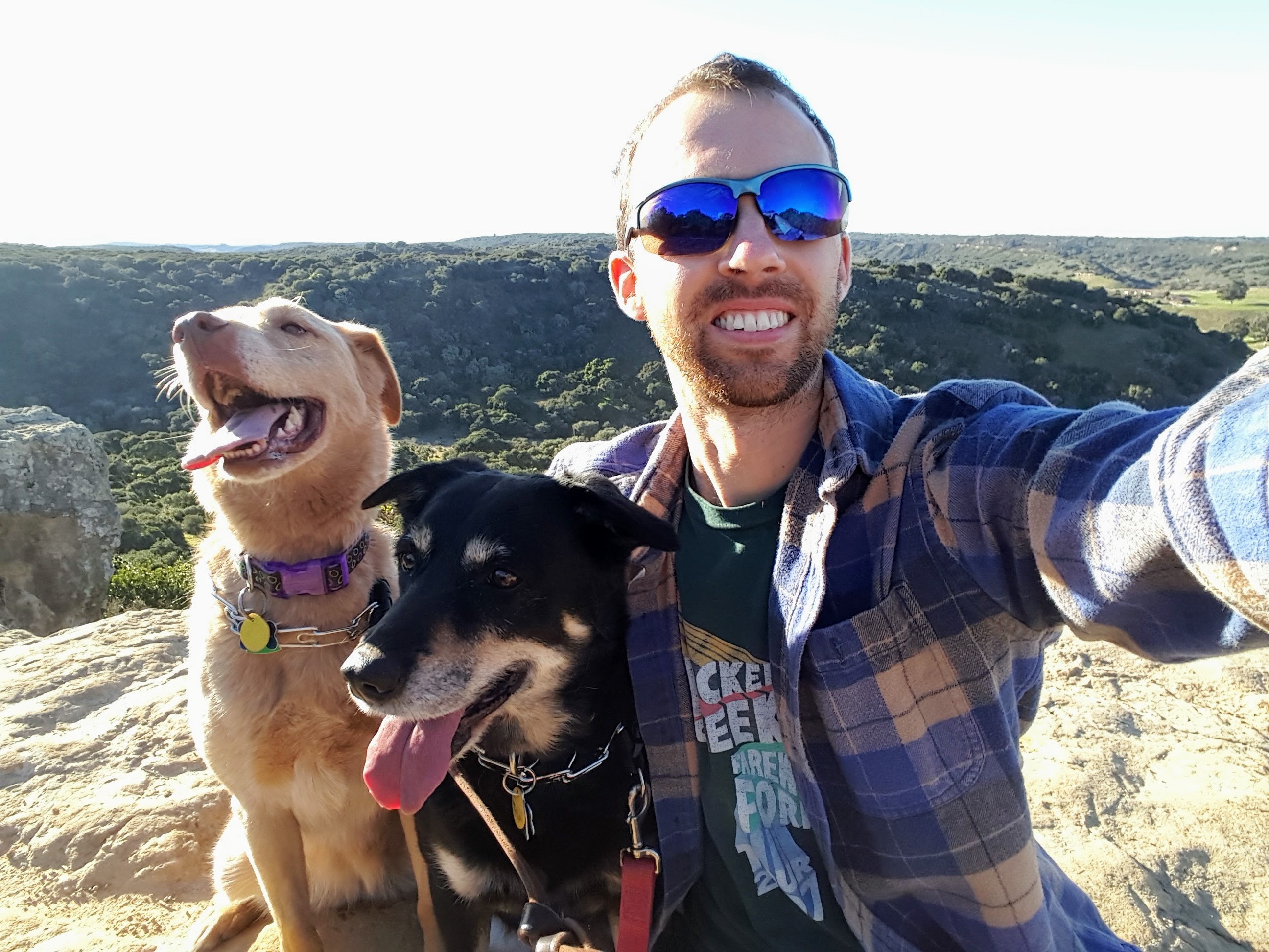 Dogs Hiking