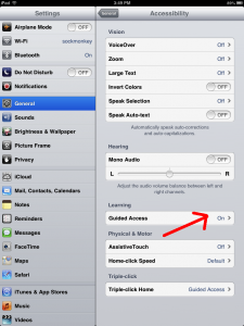 iPad Accessibility Settings