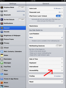 iPad General Settings