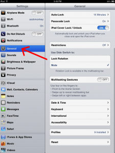 iPad General Settings Selected