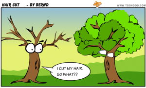tree haircut cartoon